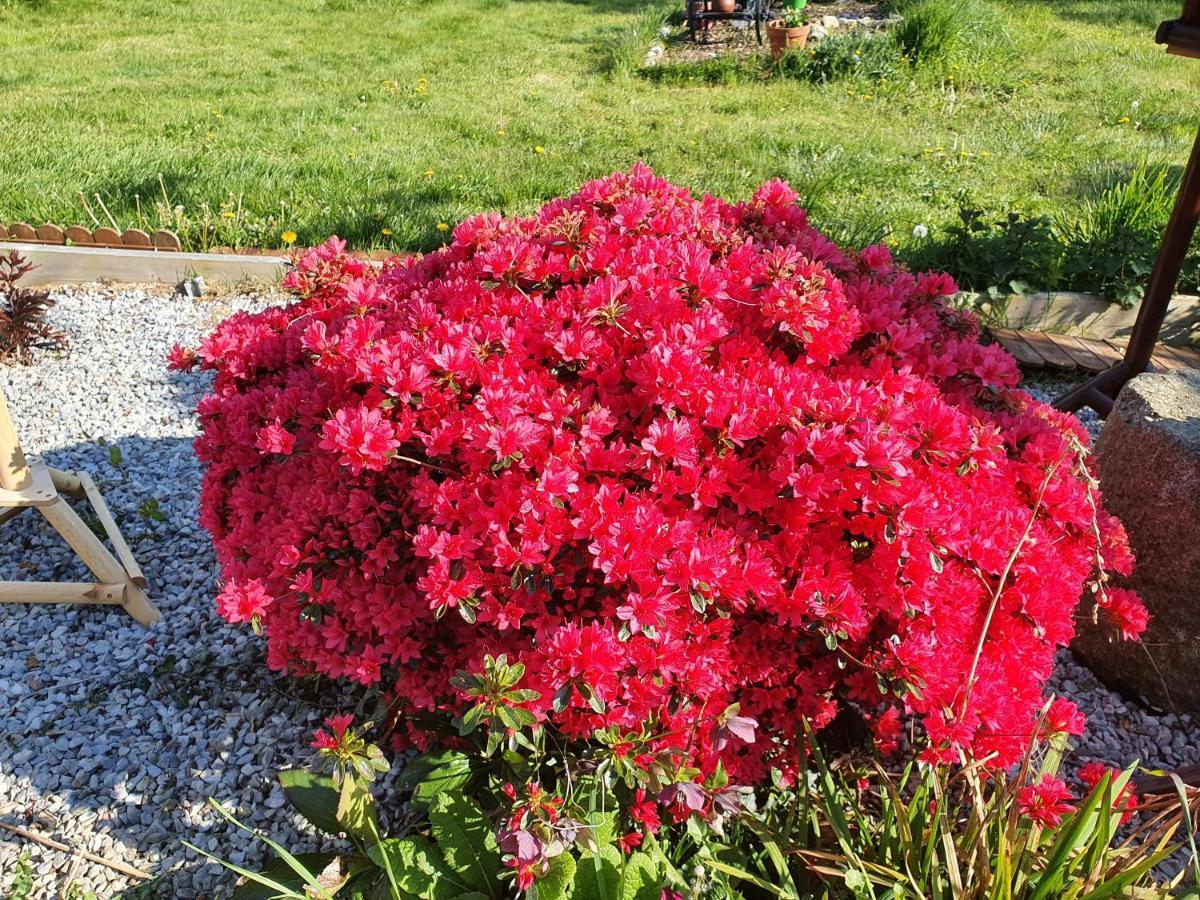 Saint-Aignan  Couloumine Breizh Bed & Breakfast エクステリア 写真