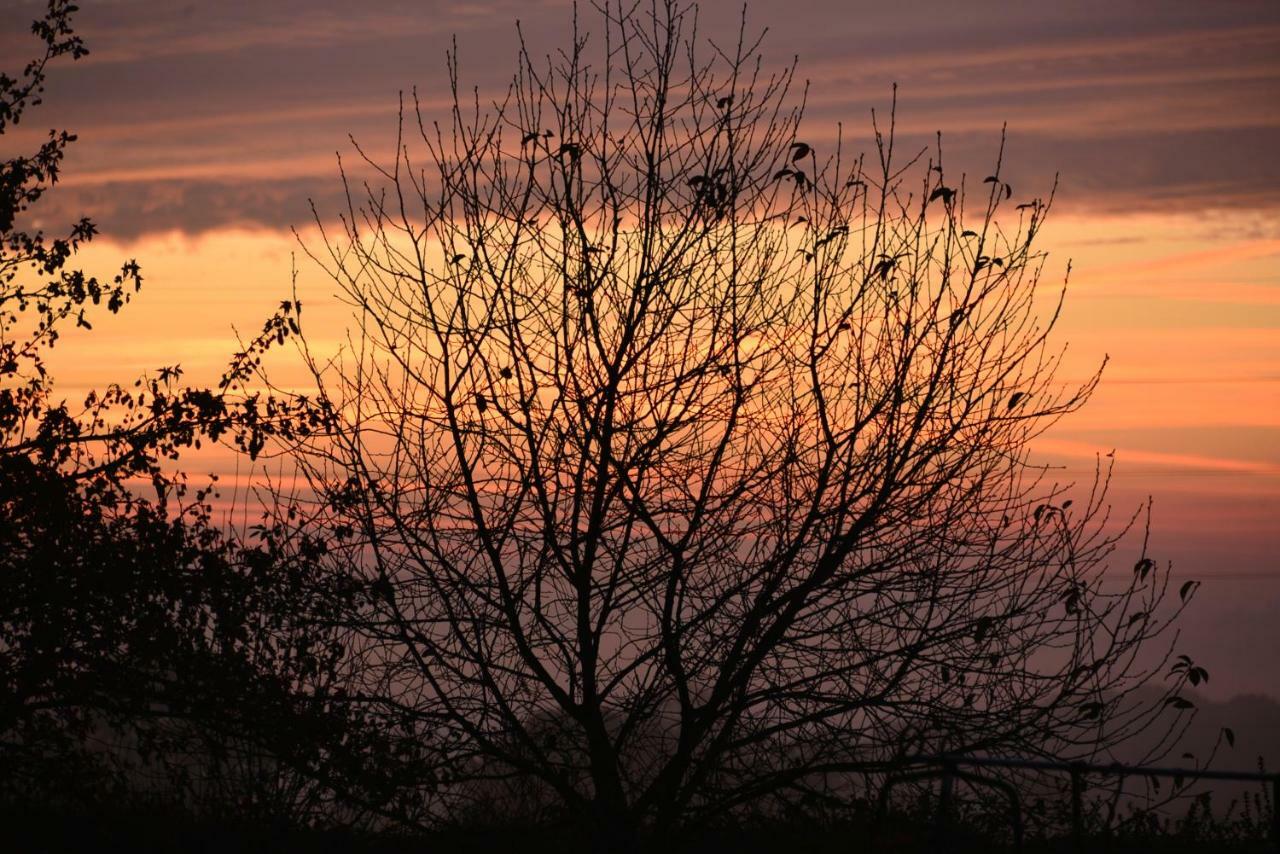 Saint-Aignan  Couloumine Breizh Bed & Breakfast エクステリア 写真